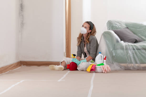 Reliable Black Mold Removal contractor in Fife, WA by WQB Mold Removal